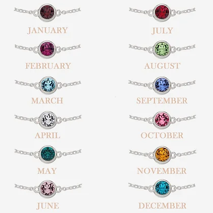 Silver Birthstone Bracelet With Crystal charm - Select Month Bracelet Gecko   