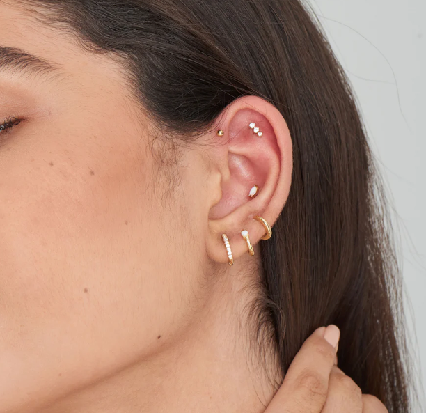 Gold Sparkle Crawler Barbell Single Earring Earrings Ania Haie   