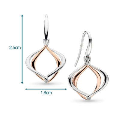 Alicia Rose Grande Drop Earrings Earrings Kit Heath