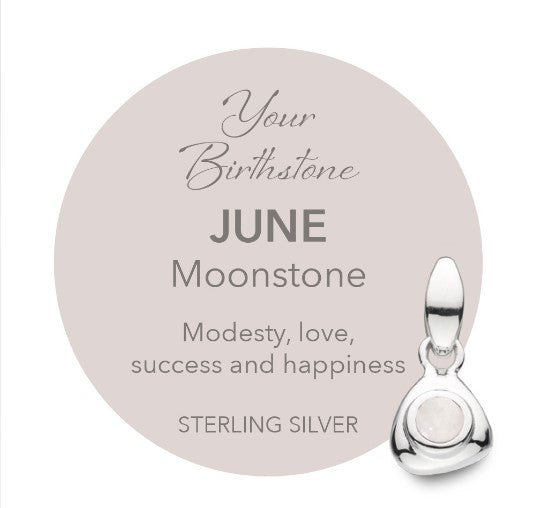 Coast June Birthstone Moonstone Tag Necklace Pendant Kit Heath   