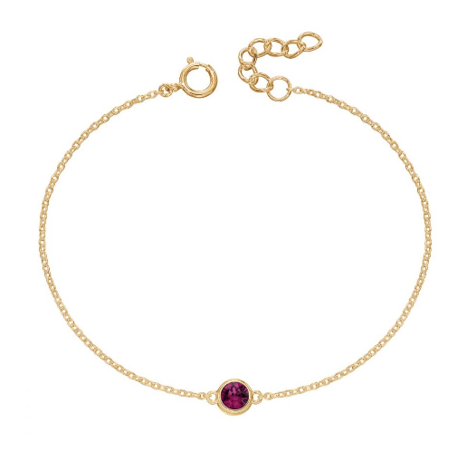 Gold Plated Birthstone Bracelet with Crystal charm -Select Month Bracelet Gecko