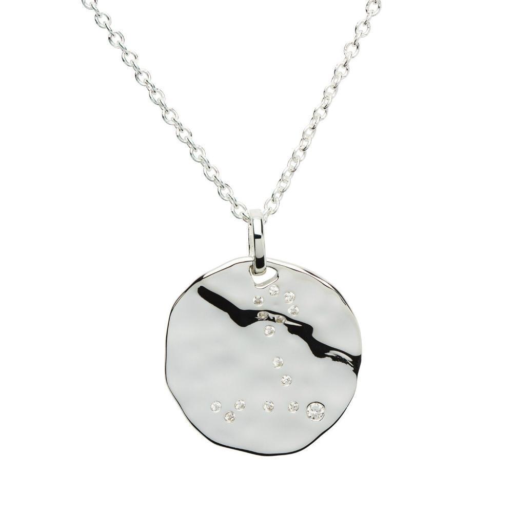 Zodiac Pisces Silver Necklace Feb 19-Mar 20 Pendant Unique   