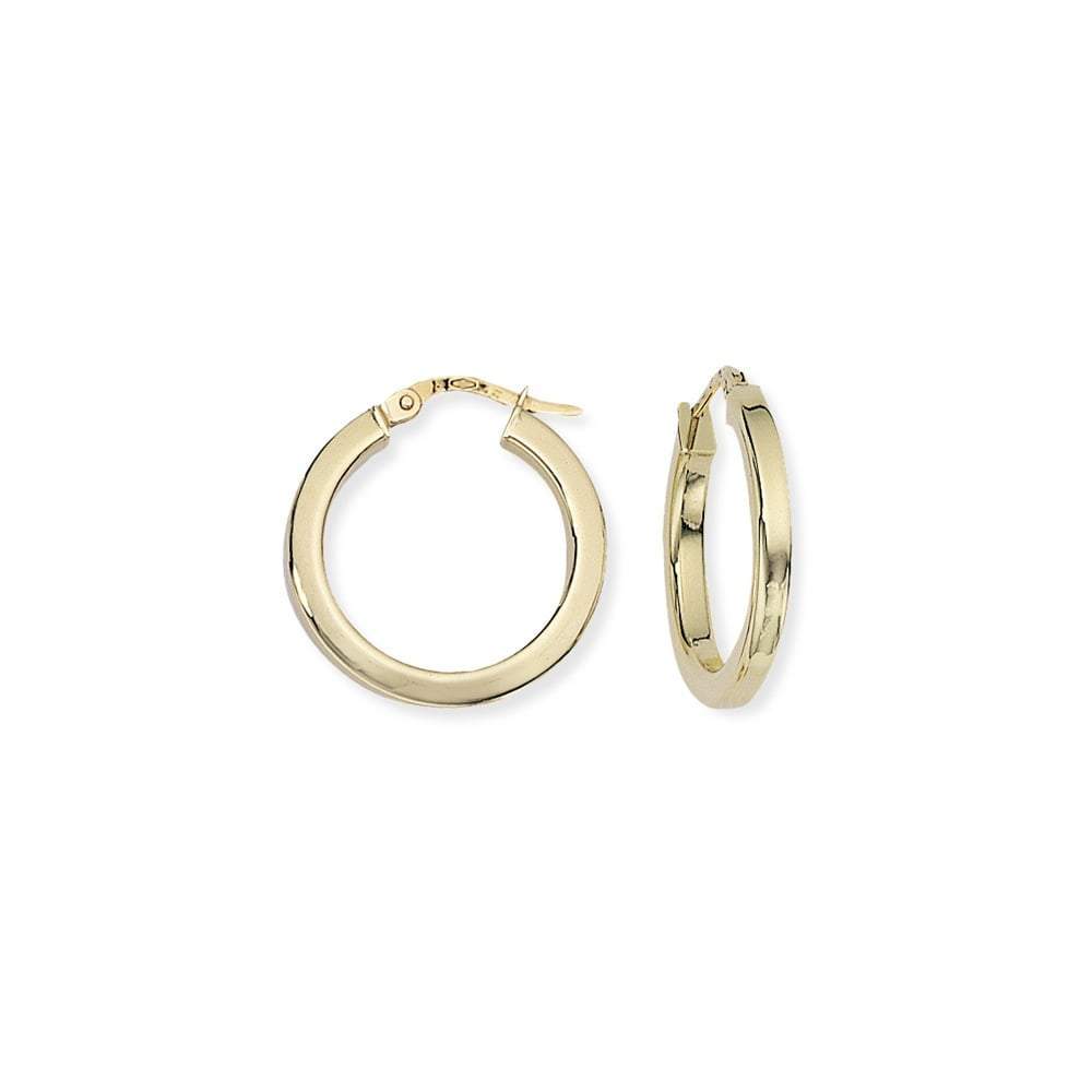 9ct yellow gold square tube round hoops Earrings Rock Lobster   