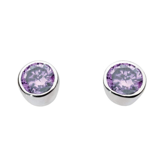 Silver amethyst small round studs Earrings Rock Lobster   