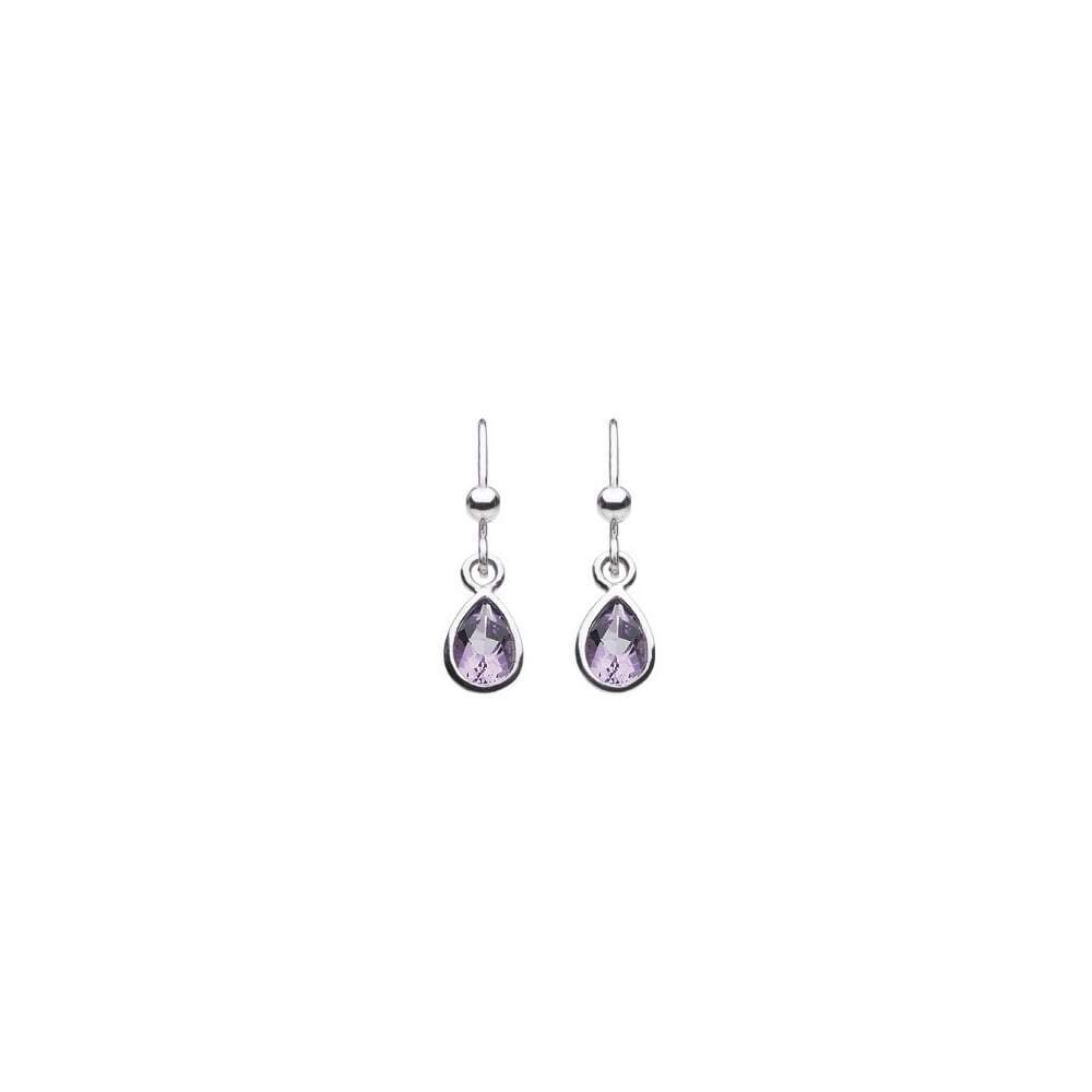 Silver Amethyst teardrop hook earrings Earrings Rock Lobster   