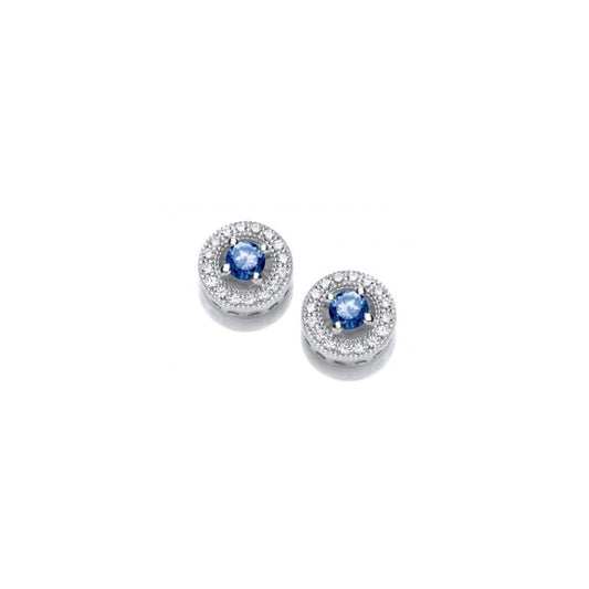 Silver and tanzanite cubic zirconia round cluster stud earrings Earrings Rock Lobster   